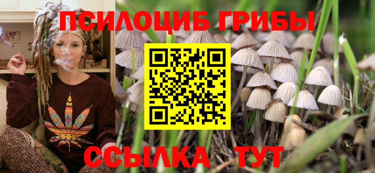 наркошоп  Псилоцибиновые грибы Magic Shrooms  Вход с VPN  Новотроицк 